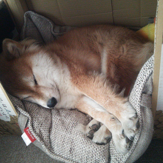 开云体育平台-教练换人策略再受质疑，换教练会不会被原来的教练骂