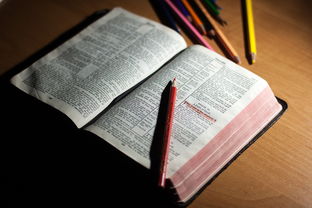 开云全站-体育教师能力认证制度在试点城市启动，体育教师资格证认定条件